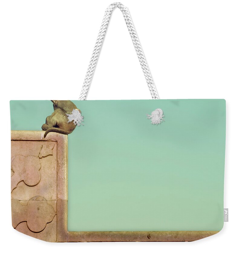 Animal Themes Weekender Tote Bag featuring the photograph Monkey In Deep Thought by Verónica De Prado