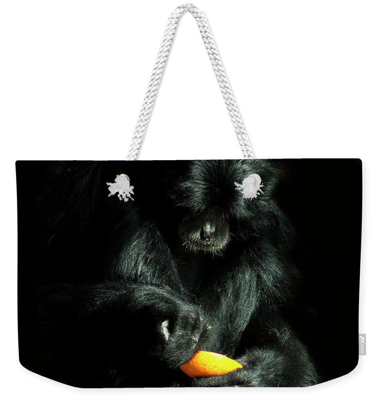 Macedonia Weekender Tote Bag featuring the photograph Monkey With Orange by Photo By Ivan Vukelic