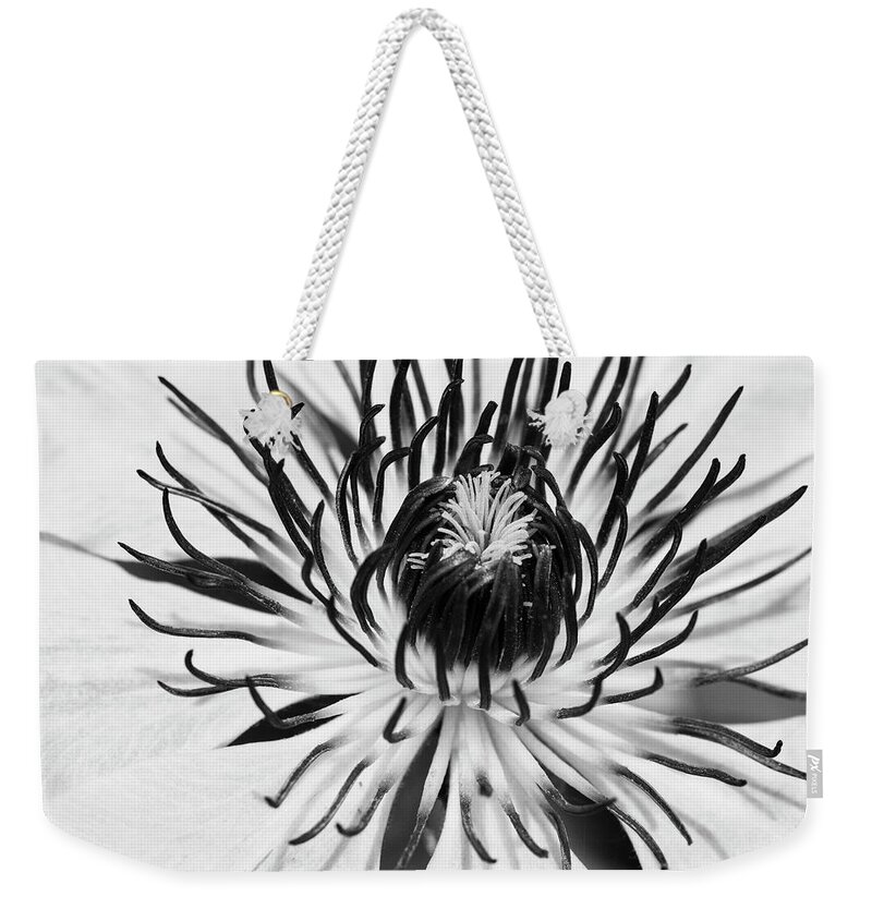 Clematis Weekender Tote Bag featuring the photograph Monochromatic Clematis by Catherine Avilez