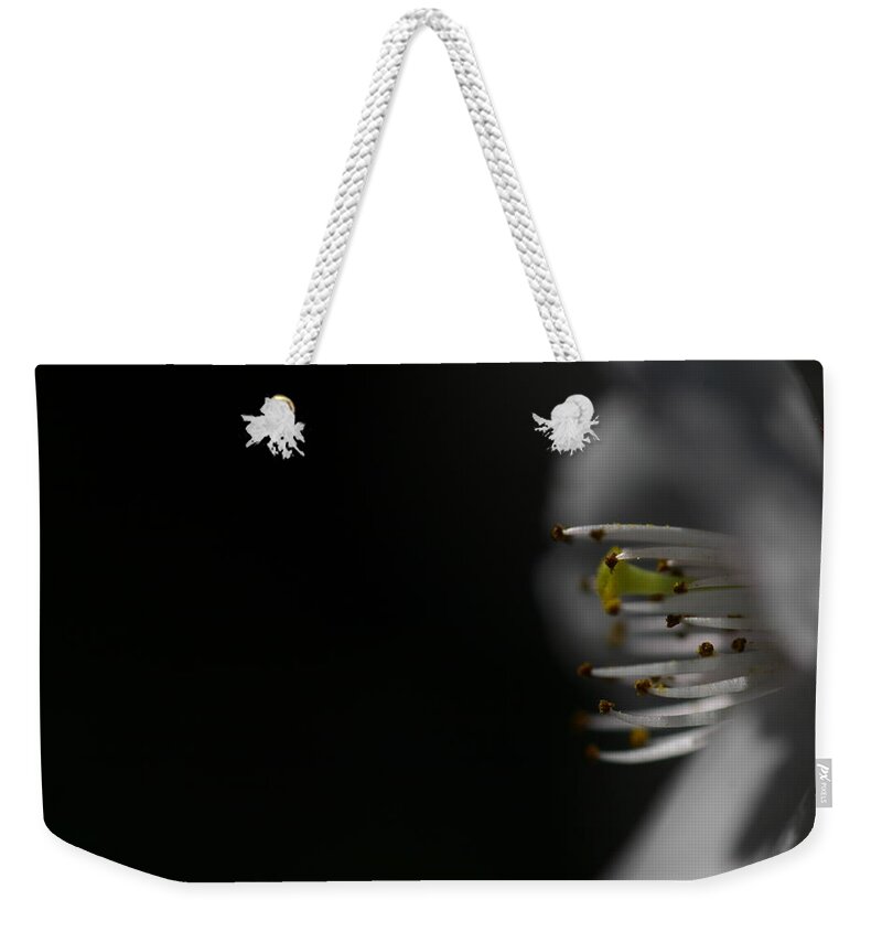 Cherry Weekender Tote Bag featuring the photograph Monochrome Cherry Blossoms by Hisako Tanaka