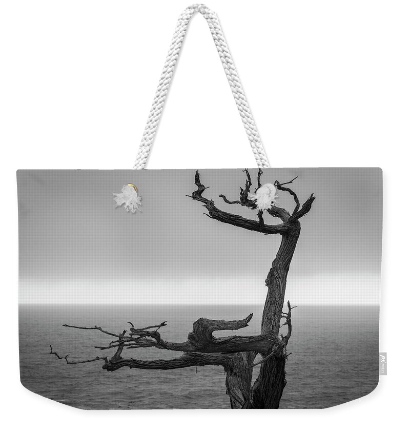 17 Mile Drive Weekender Tote Bag featuring the photograph Monterey Peninsula V BW by David Gordon