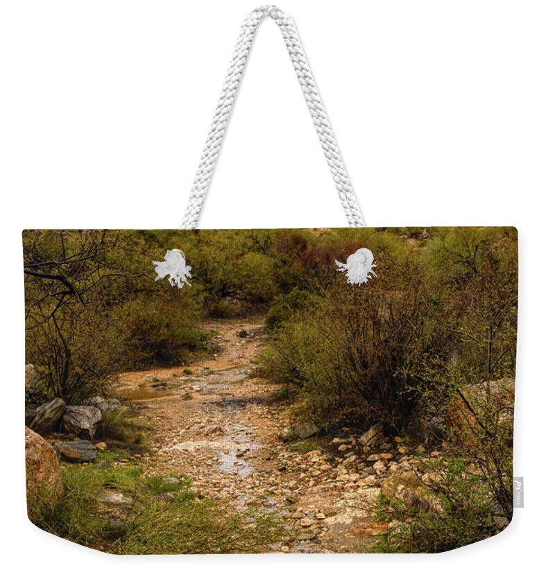 Tucson Weekender Tote Bag featuring the photograph Moody Creekbed by Chance Kafka