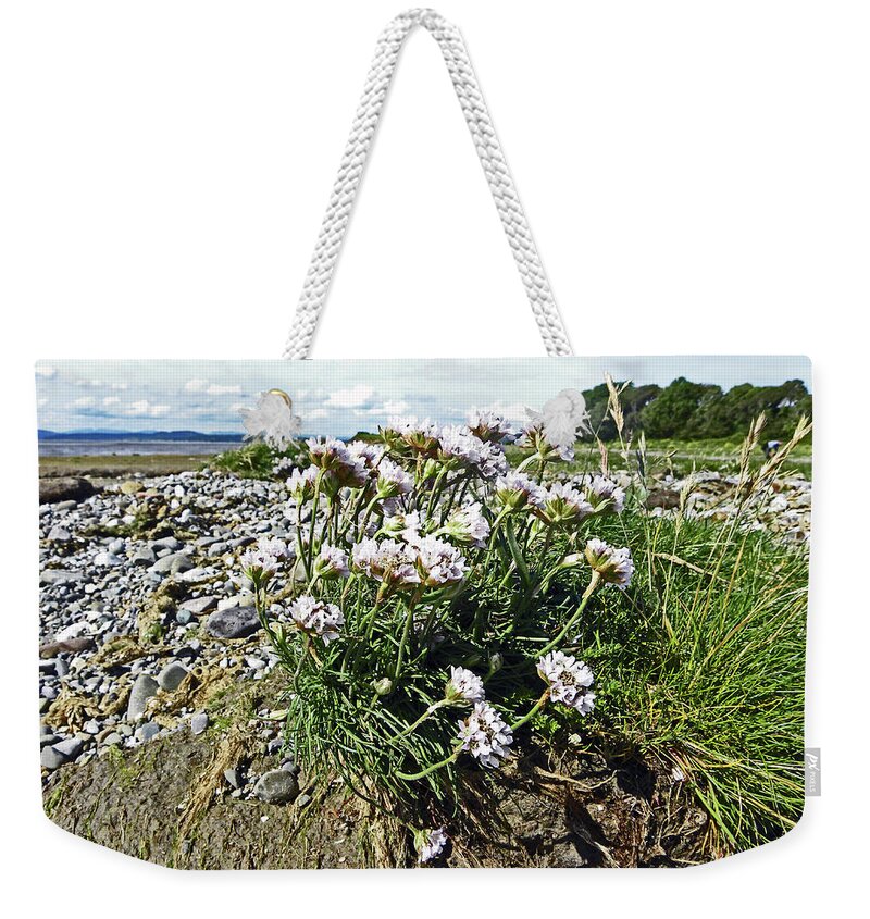 Morecambe Weekender Tote Bag featuring the photograph MORECAMBE. Hest Bank. Sea Thrift. by Lachlan Main
