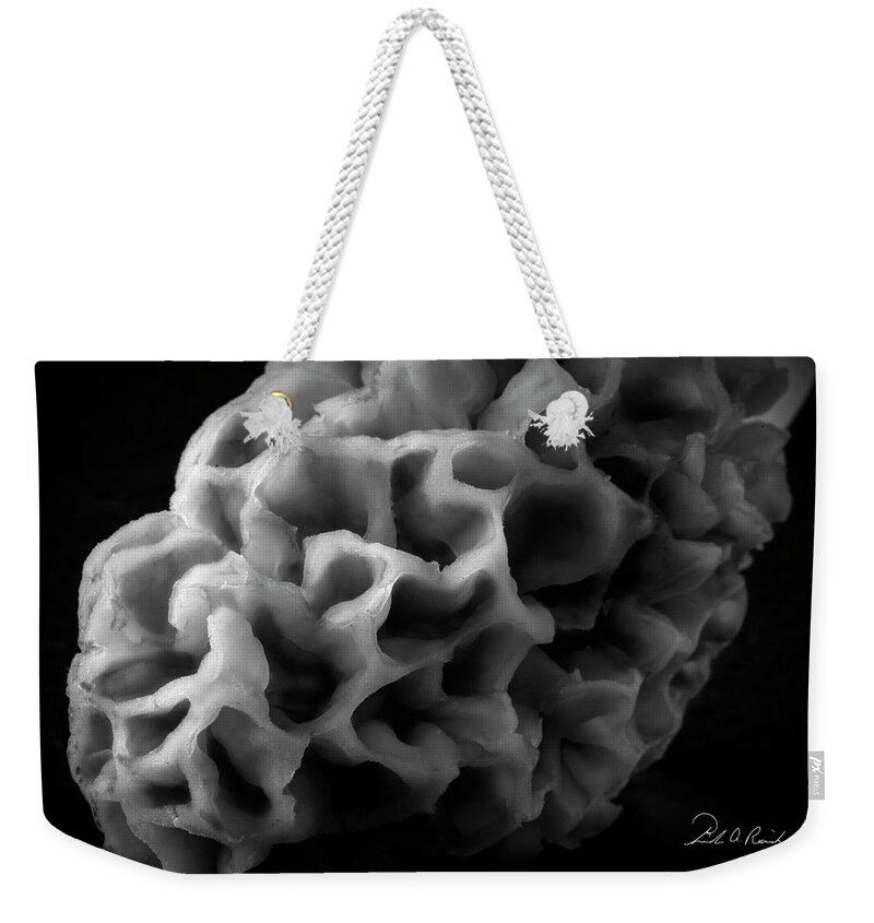 Morel Weekender Tote Bag featuring the photograph Morel Closeup by Frederic A Reinecke
