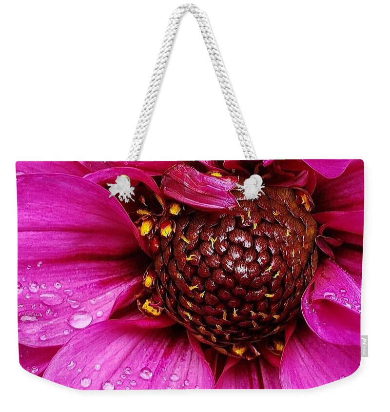 Flower Weekender Tote Bag featuring the photograph Morning Dew in Pink by Suzy Piatt