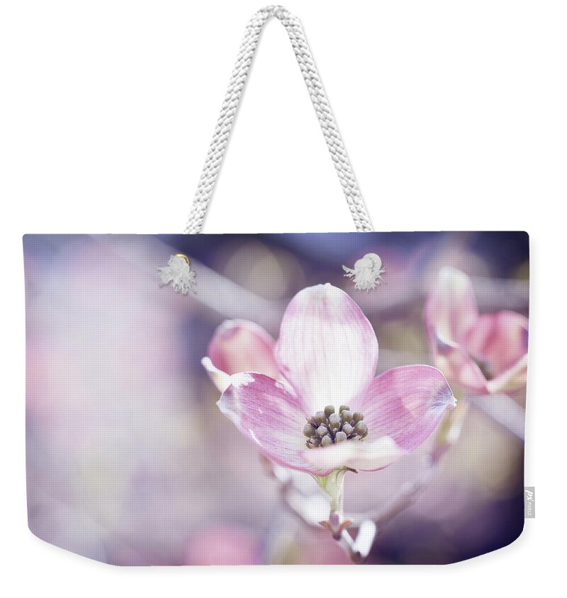 Pink Dogwood Flower Weekender Tote Bag featuring the photograph Morning Dogwood by Michelle Wermuth