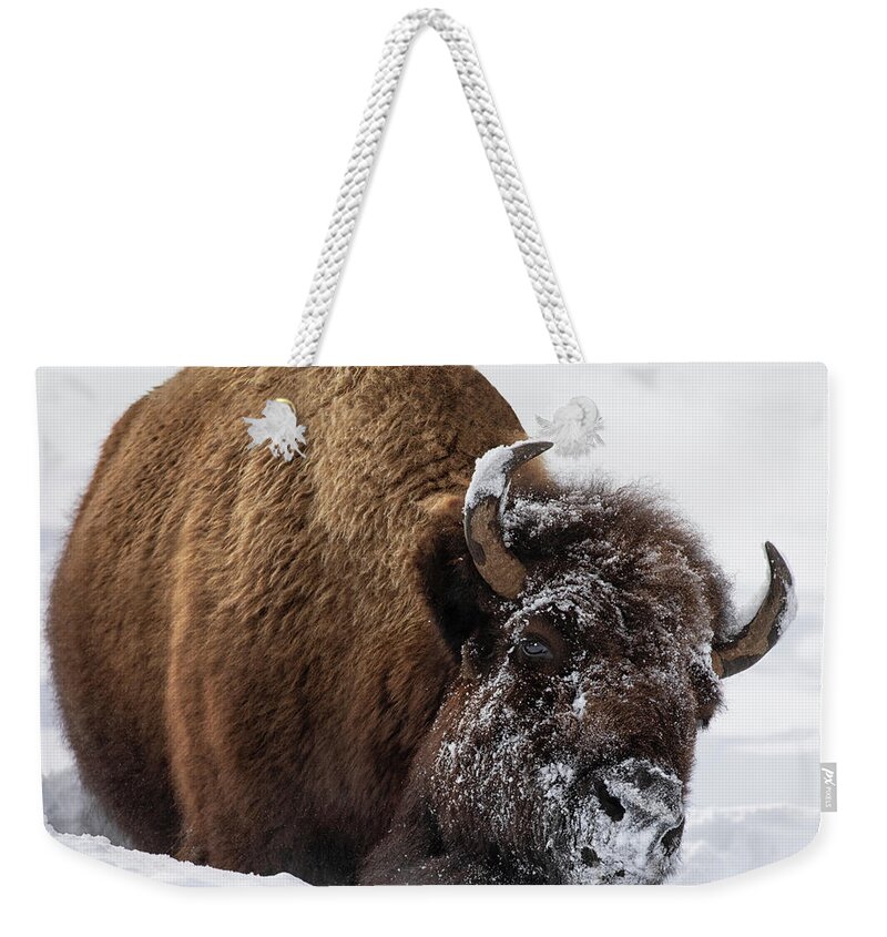American Bison Weekender Tote Bag featuring the photograph Morning Frost by Art Cole