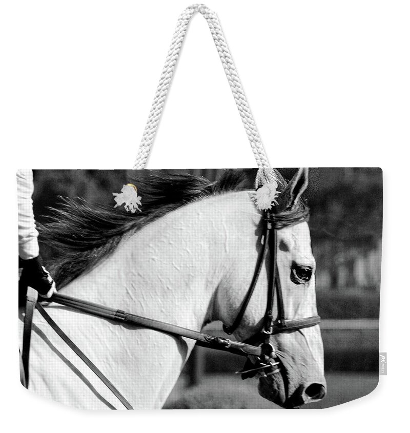 Monochrome Weekender Tote Bag featuring the photograph Morning Gallop by Minnie Gallman