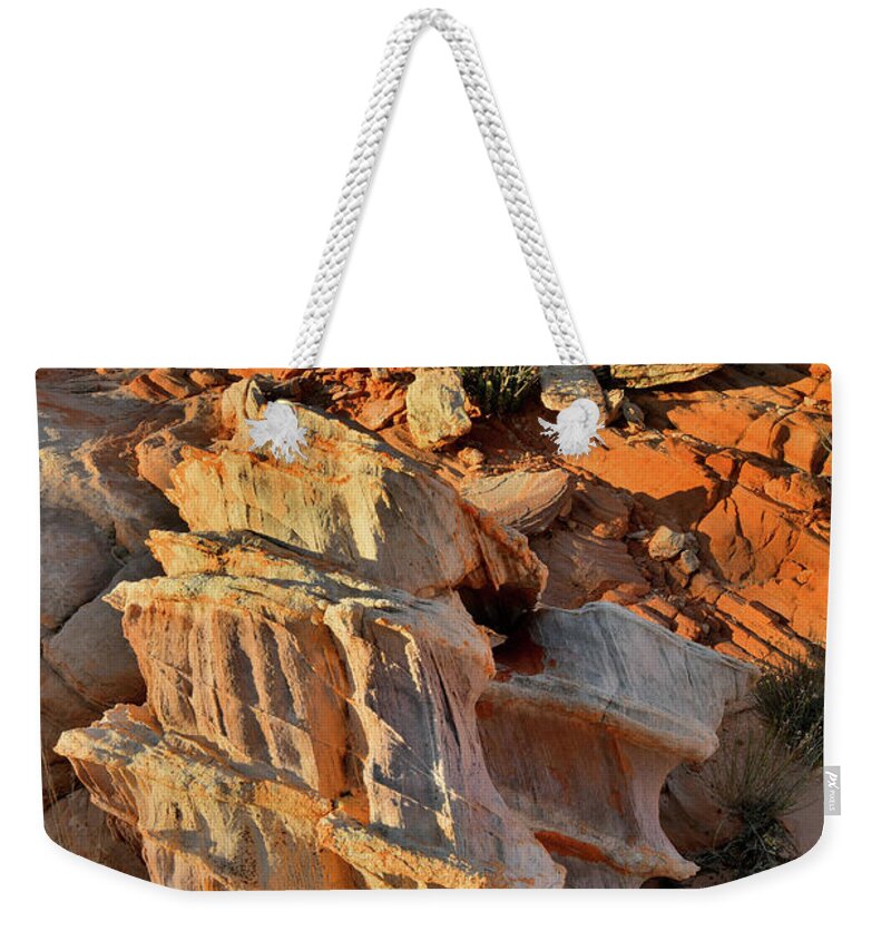 Valley Of Fire State Park Weekender Tote Bag featuring the photograph Morning Light on Beautiful Sandstone Form in Valley of Fire by Ray Mathis