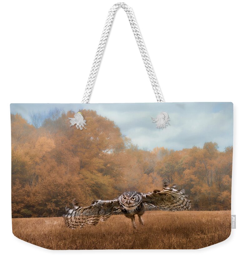 Jai Johnson Weekender Tote Bag featuring the photograph Morning Mouse Hunting by Jai Johnson