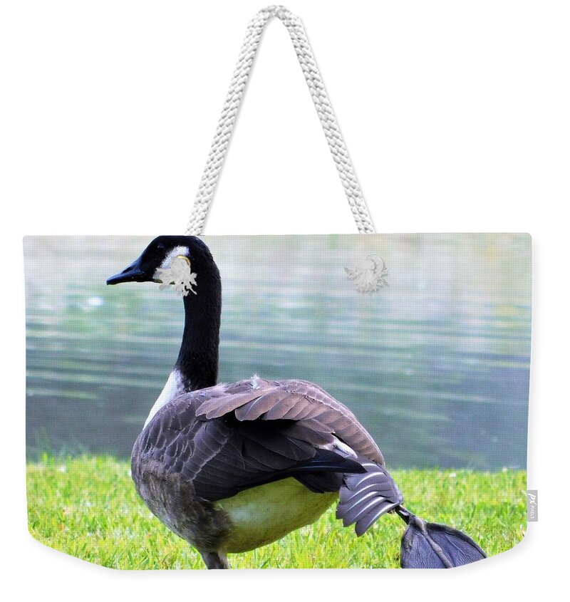 - Morning Yoga - Canada Goose Weekender Tote Bag featuring the photograph - Morning Yoga - Canada Goose by THERESA Nye
