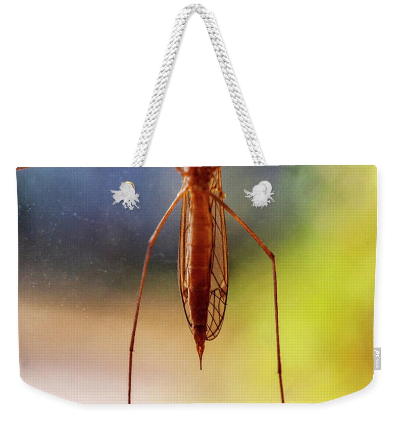 Mosquito Weekender Tote Bag featuring the photograph Mosquito by Lonnie Paulson