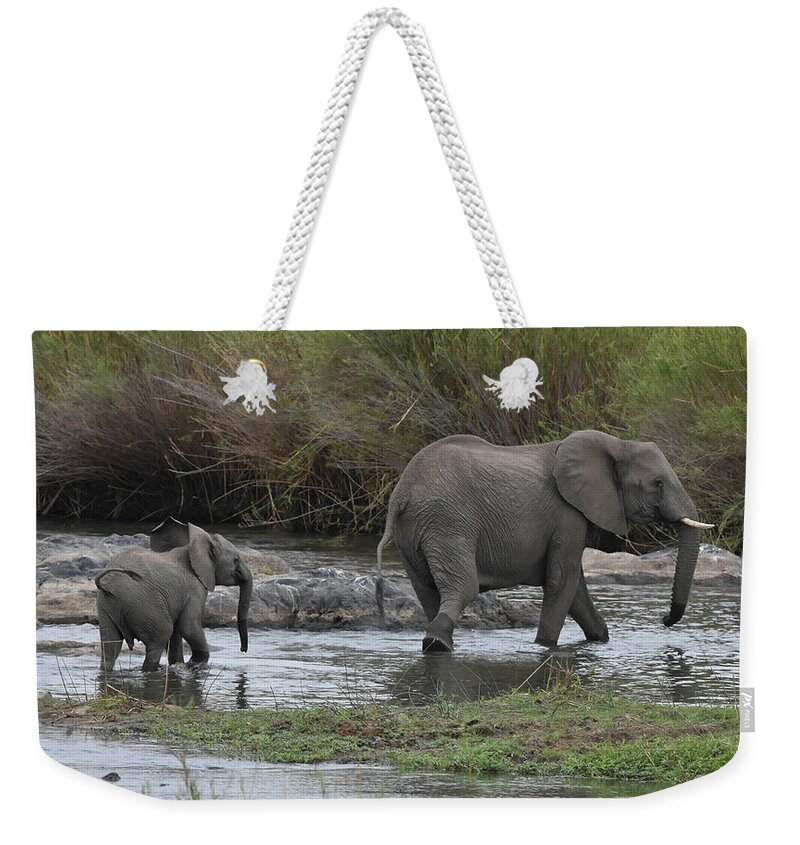 Elephant Weekender Tote Bag featuring the photograph Following Mom by Ben Foster