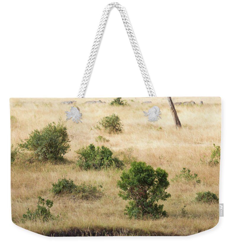 Kenya Weekender Tote Bag featuring the photograph Mother And Baby Elephant In Savanna by Universal Stopping Point Photography