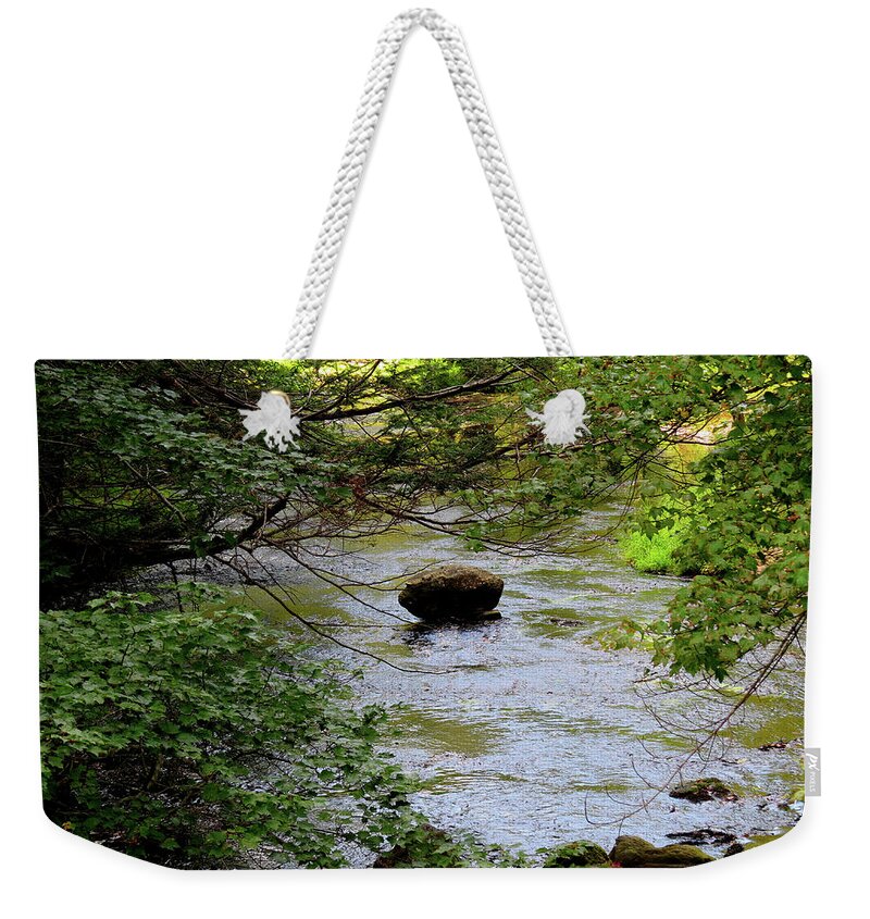 Stream Weekender Tote Bag featuring the photograph Mountain Stream in Late Summer by Linda Stern