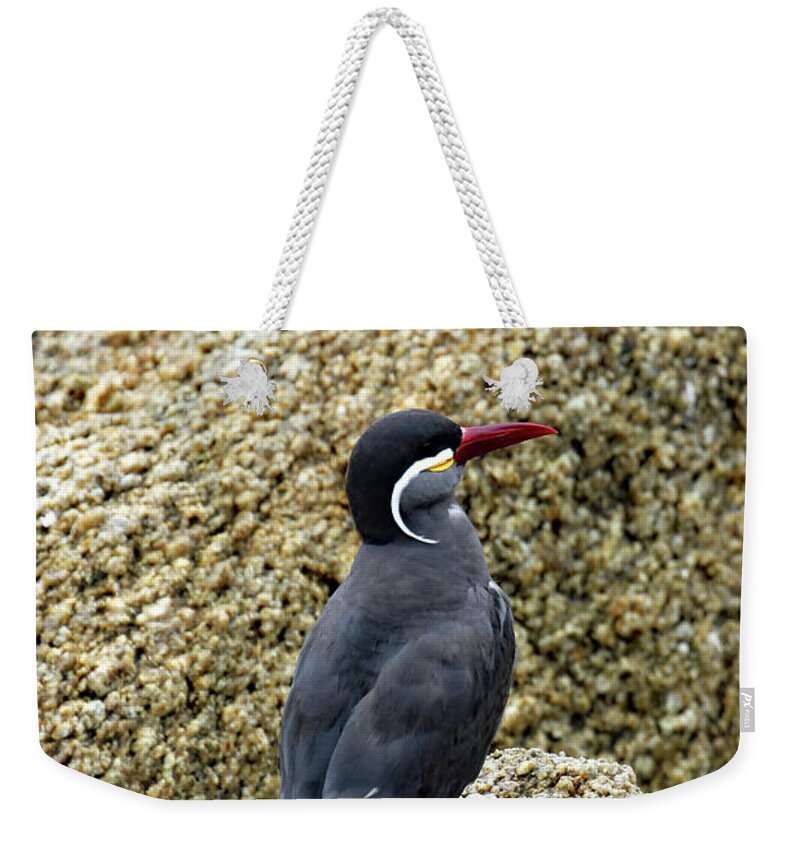 South America Weekender Tote Bag featuring the photograph Moustached Tern by Jennifer Robin