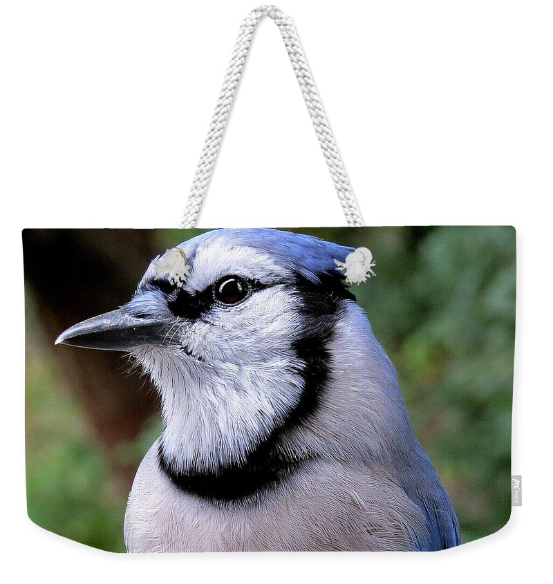 Blue Jay Weekender Tote Bag featuring the photograph Mr. Blue by Linda Stern