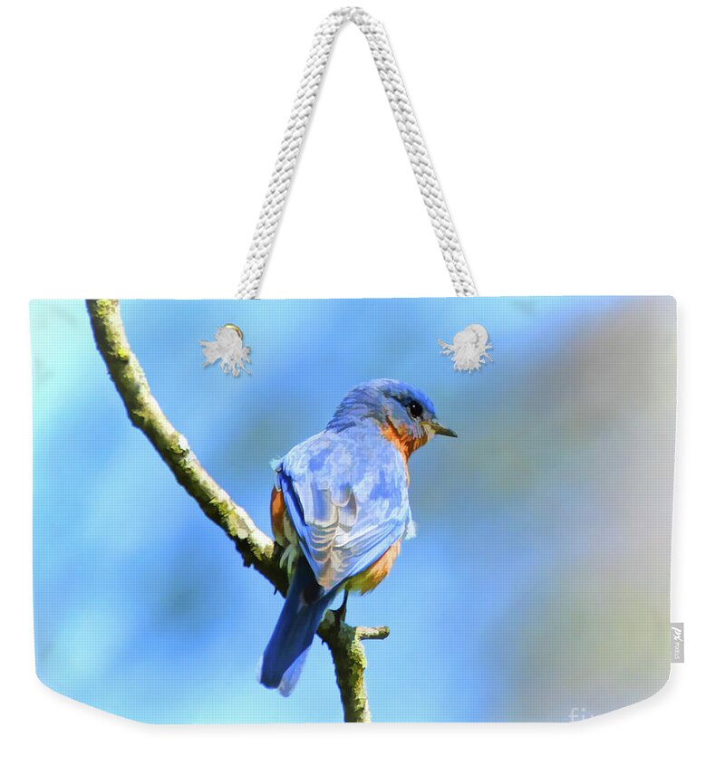 Bluebird Weekender Tote Bag featuring the photograph Mr Bluebird - Male Bluebird Art by Kerri Farley