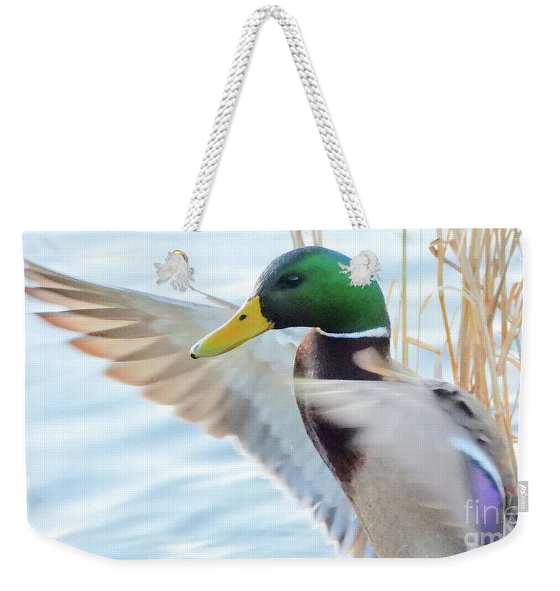 Mallard Weekender Tote Bag featuring the photograph Mr Mallard Duck by Scott Cameron