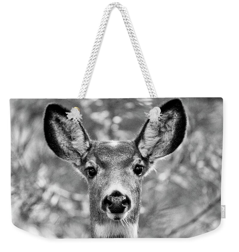Mule Deer Ears Weekender Tote Bag featuring the photograph Mule Deer #1 by Neil Pankler
