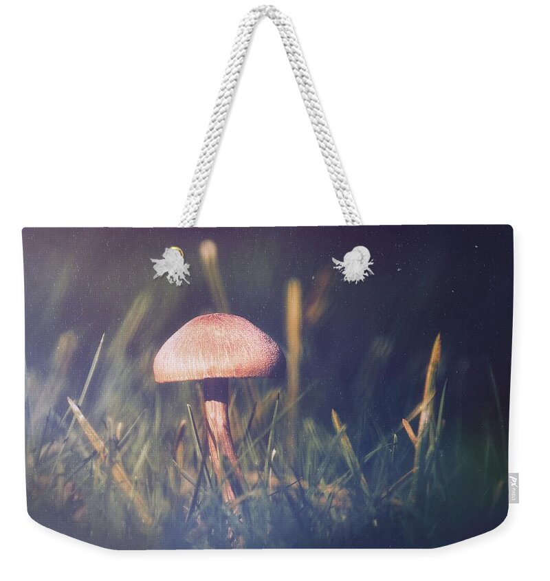 Mushroom Weekender Tote Bag featuring the photograph Mushroom Night by Jaroslav Buna