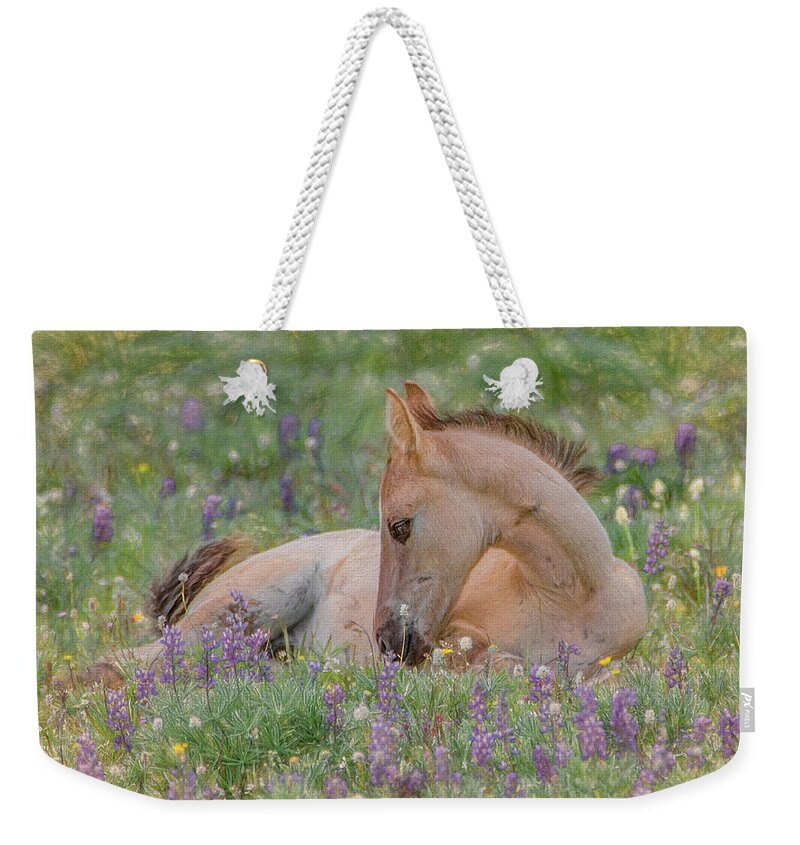 Wild Mustangs Weekender Tote Bag featuring the photograph Wild Mustang Foal in the Wildflowers by Marcy Wielfaert