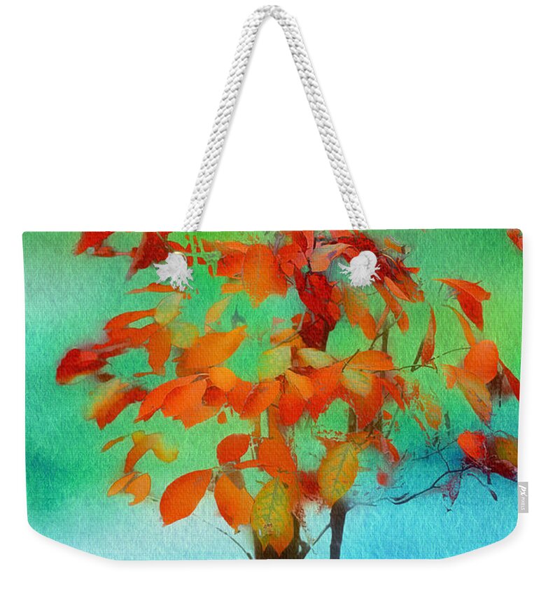 Autumn Weekender Tote Bag featuring the photograph My First Autumn by Rene Crystal