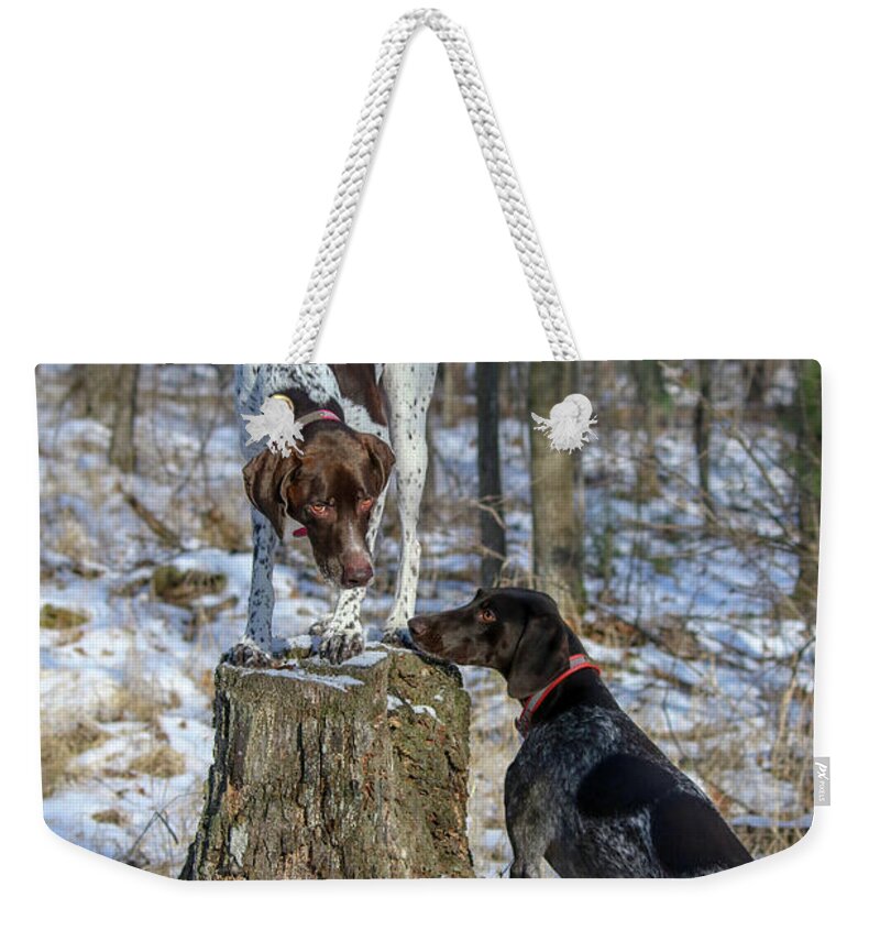 German Shorthaired Pointers Weekender Tote Bag featuring the photograph My Stump by Brook Burling