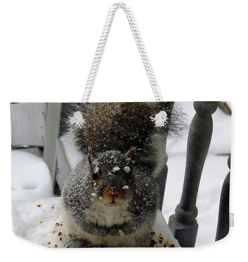 Squirrel Weekender Tote Bag featuring the photograph Napkin, please by Linda Stern