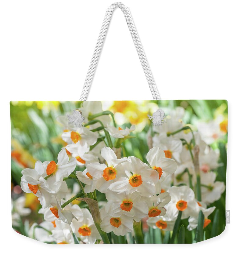 Jenny Rainbow Fine Art Photography Weekender Tote Bag featuring the photograph Narcissus Geranium by Jenny Rainbow
