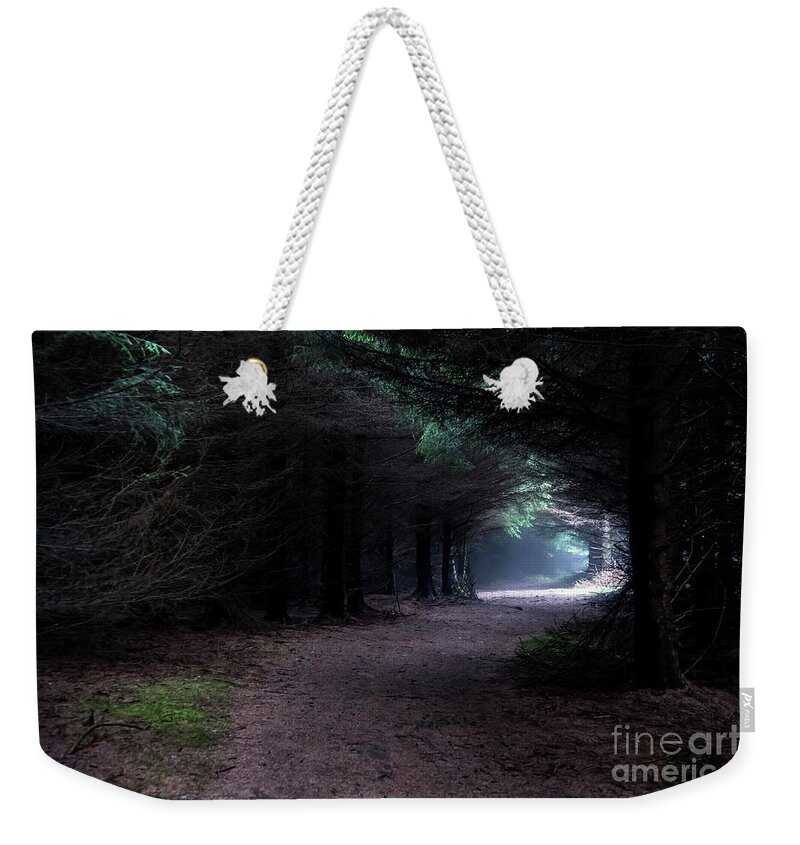 Wood Weekender Tote Bag featuring the photograph Narrow Path Through Foggy Mysterious Forest by Andreas Berthold