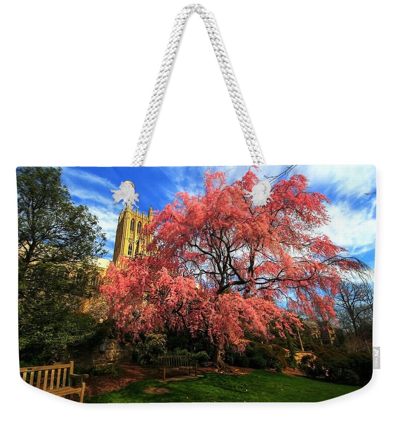 Tranquility Weekender Tote Bag featuring the photograph National Cathedral Blossoms by L. Toshio Kishiyama