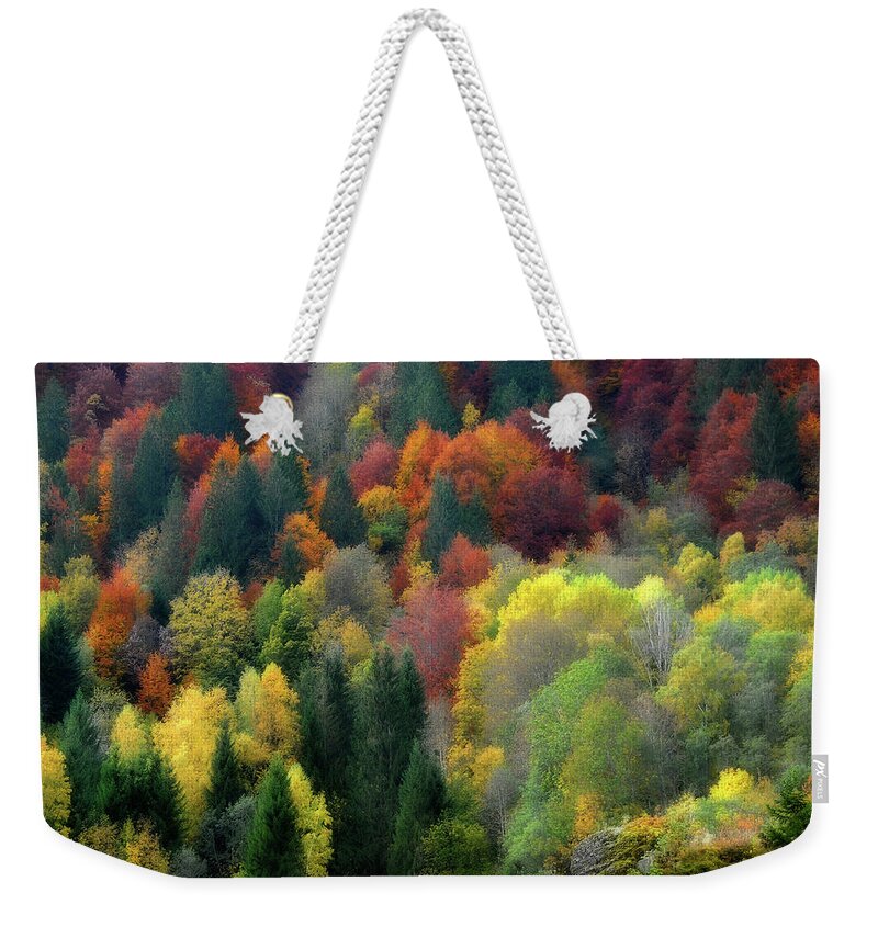 Autumn Weekender Tote Bag featuring the photograph Nature Palette by Philippe Sainte-Laudy