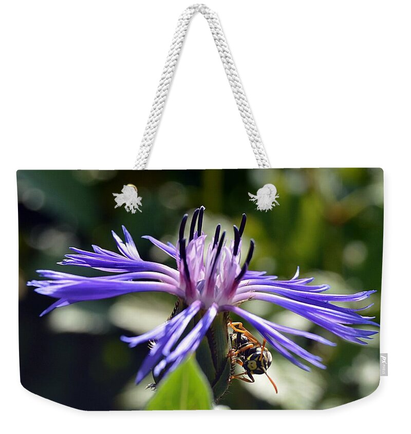 Bee Weekender Tote Bag featuring the photograph Nature by Thomas Schroeder