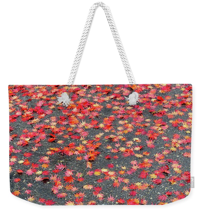 Autumn Weekender Tote Bag featuring the photograph Nature's Confetti by Linda Stern