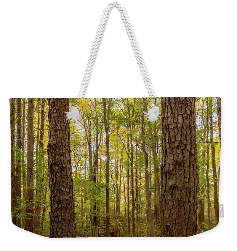 Hike Weekender Tote Bag featuring the photograph Nature's Entry by Donna Twiford