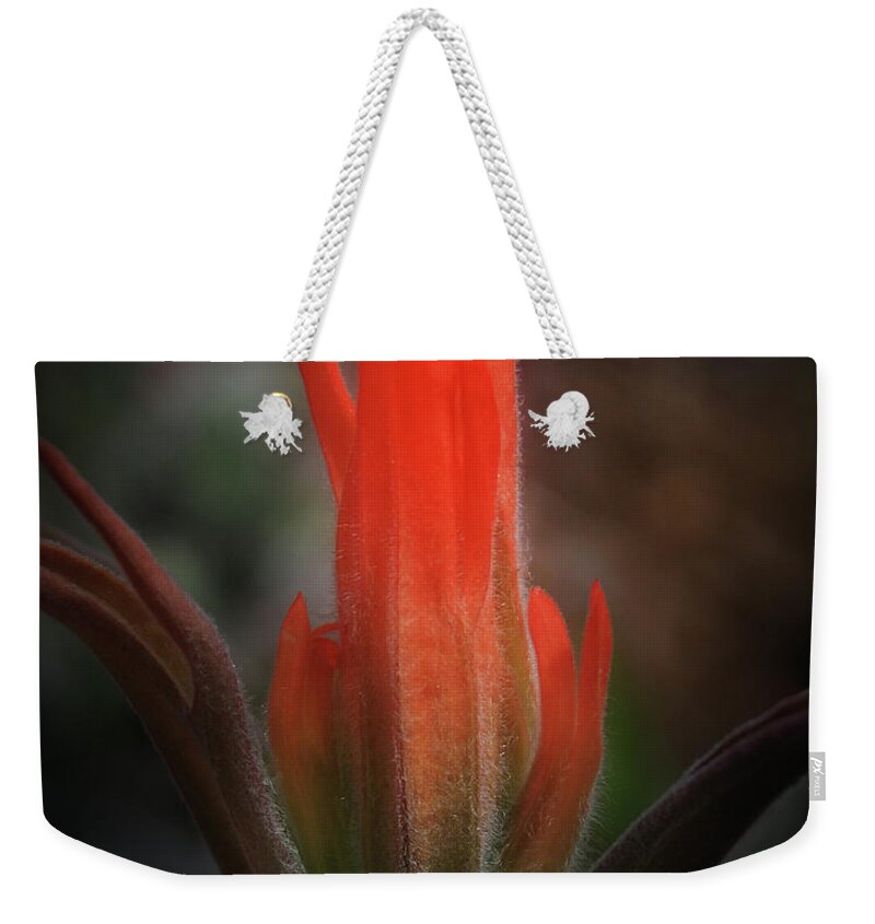 Indian Weekender Tote Bag featuring the photograph Nature's Fire by Brian Gustafson