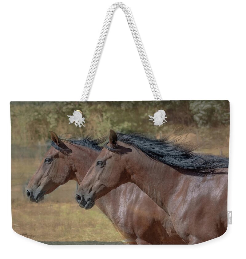Wild Horse Weekender Tote Bag featuring the photograph face mask Neck to neck by Patricia Dennis