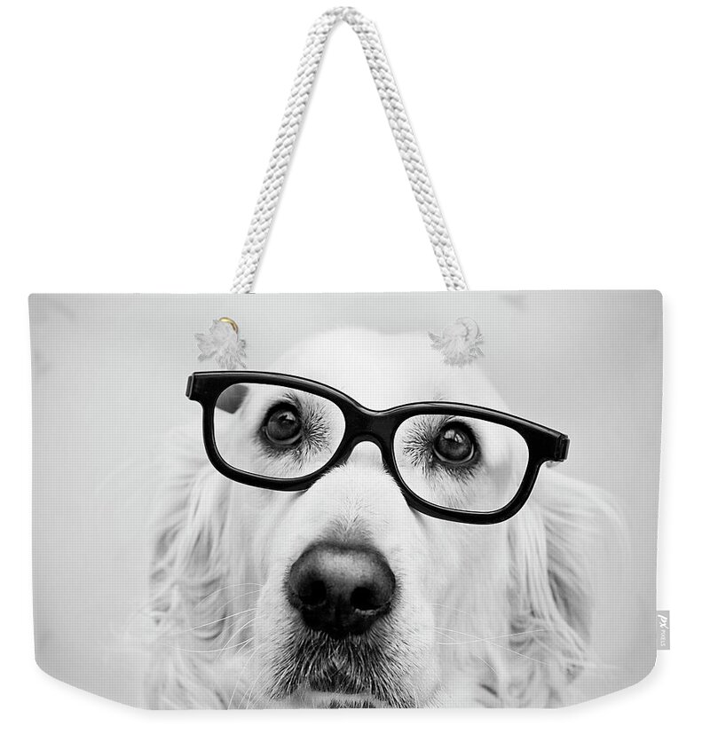 Pets Weekender Tote Bag featuring the photograph Nerd Dog by Thomas Hole