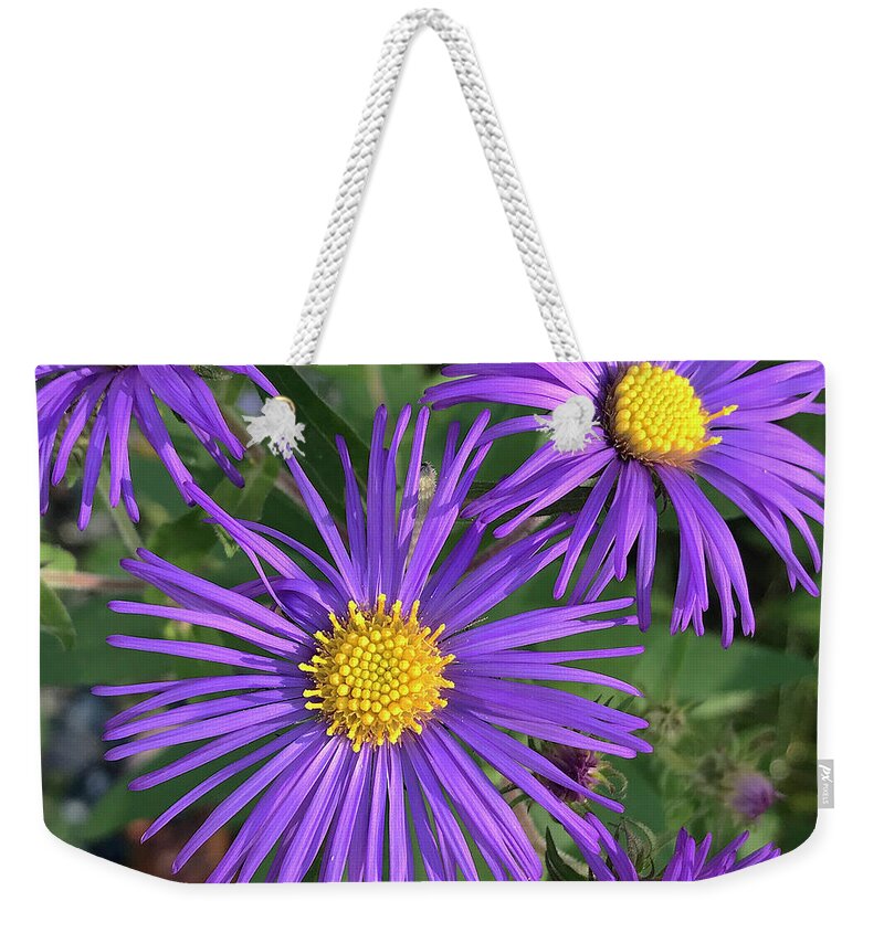 New England Aster Weekender Tote Bag featuring the photograph New England Aster 17 by Amy E Fraser