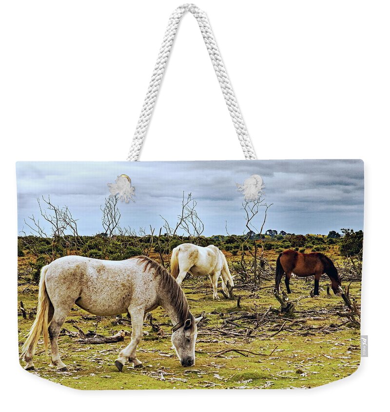 New Forest Weekender Tote Bag featuring the photograph New Forest Ponies On The Heath by Jeff Townsend