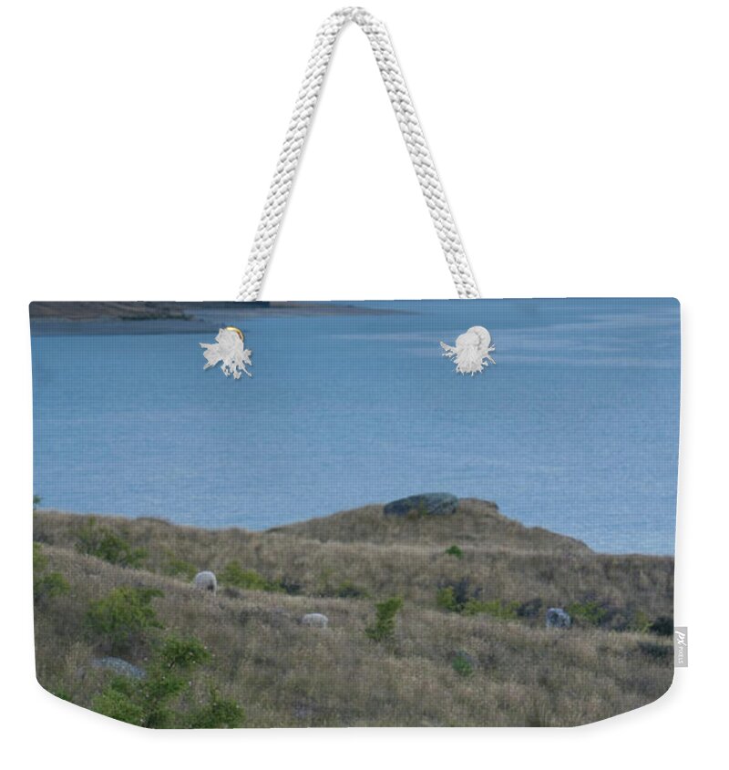 Scenics Weekender Tote Bag featuring the photograph New Zealand, South Island, Sheep by Paul Souders