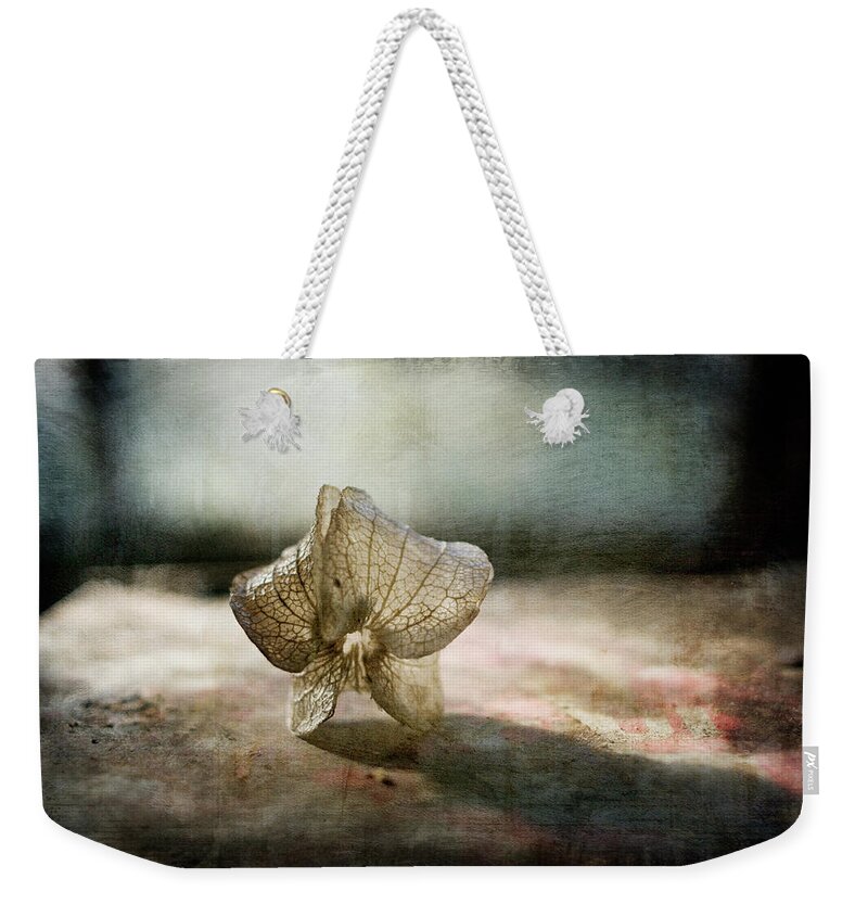 Fragility Weekender Tote Bag featuring the photograph Nicandra Seed by Jill Ferry