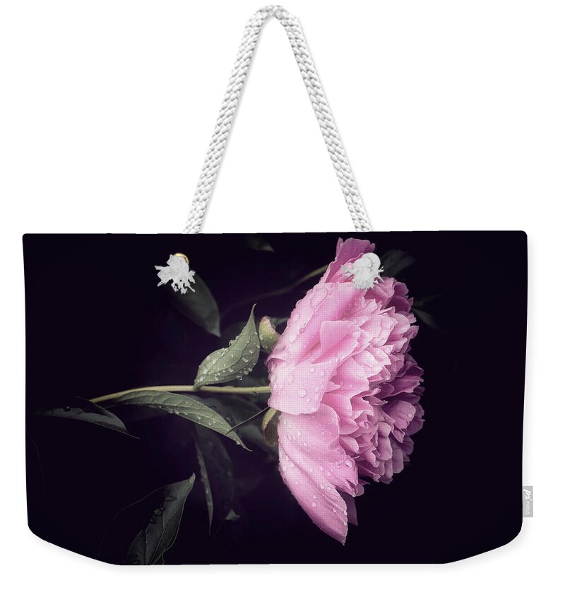 Peony Weekender Tote Bag featuring the photograph No Hesitation by Philippe Sainte-Laudy