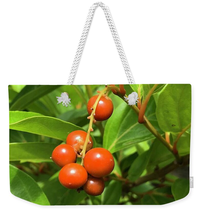 Berries Weekender Tote Bag featuring the photograph Non Edible Berries by Laura Forde