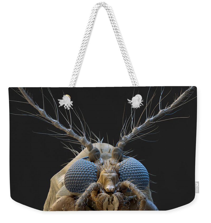 Animal Weekender Tote Bag featuring the photograph Nonbiting Midge, Chironomidae Sp., Sem by Meckes/ottawa