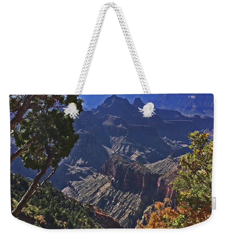 North Rim Grand Canyon Vista Mountains Trees Scrub Weekender Tote Bag featuring the photograph North Rim Grand Canyon Vista mountains trees scrub 1164 by David Frederick