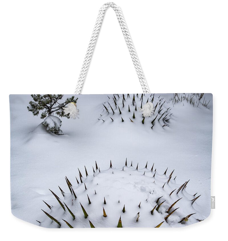 Arizona Weekender Tote Bag featuring the photograph Not Something you See Everyday by Will Wagner