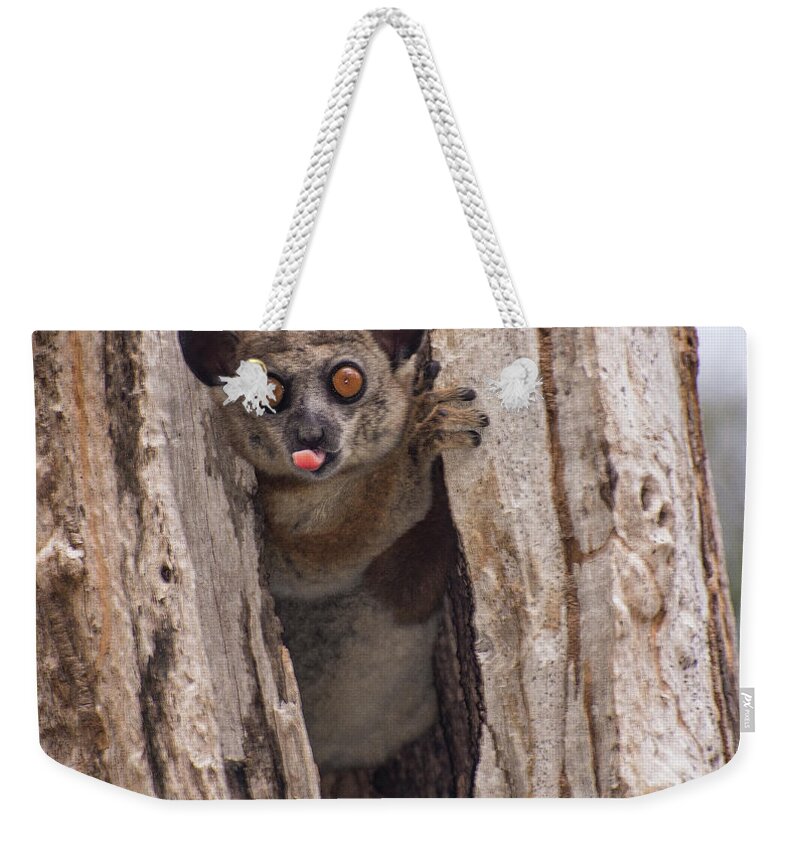 Face Weekender Tote Bag featuring the photograph Nyah by Alex Lapidus