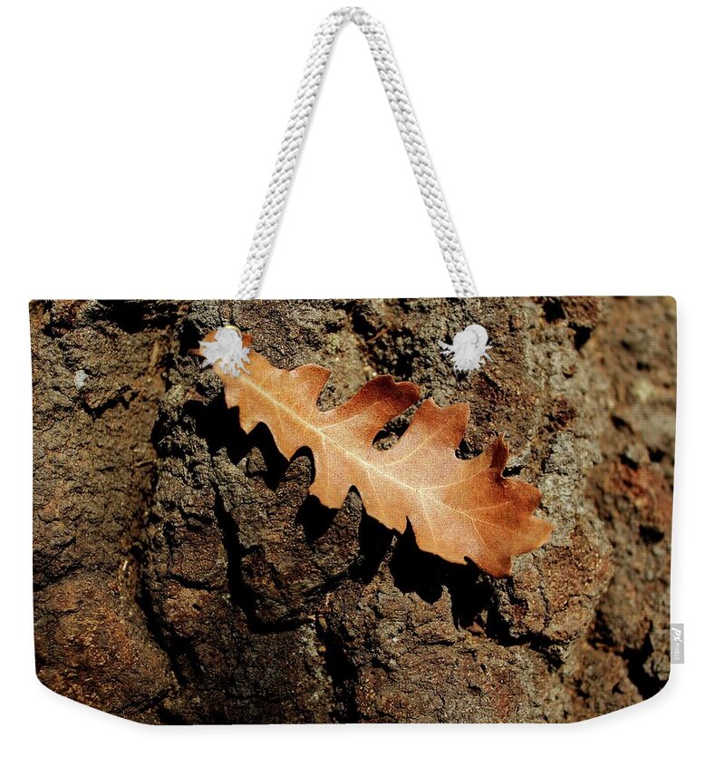 Oak Weekender Tote Bag featuring the photograph Oak leaf on bark by Martin Smith